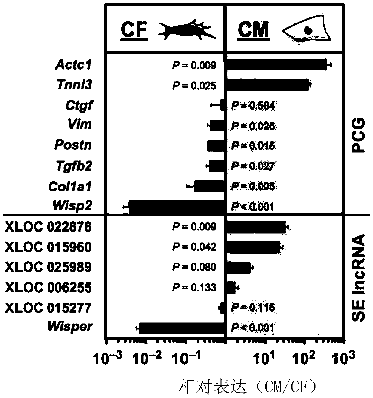 Methods and compositions for controlling cardiac fibrosis and remodeling