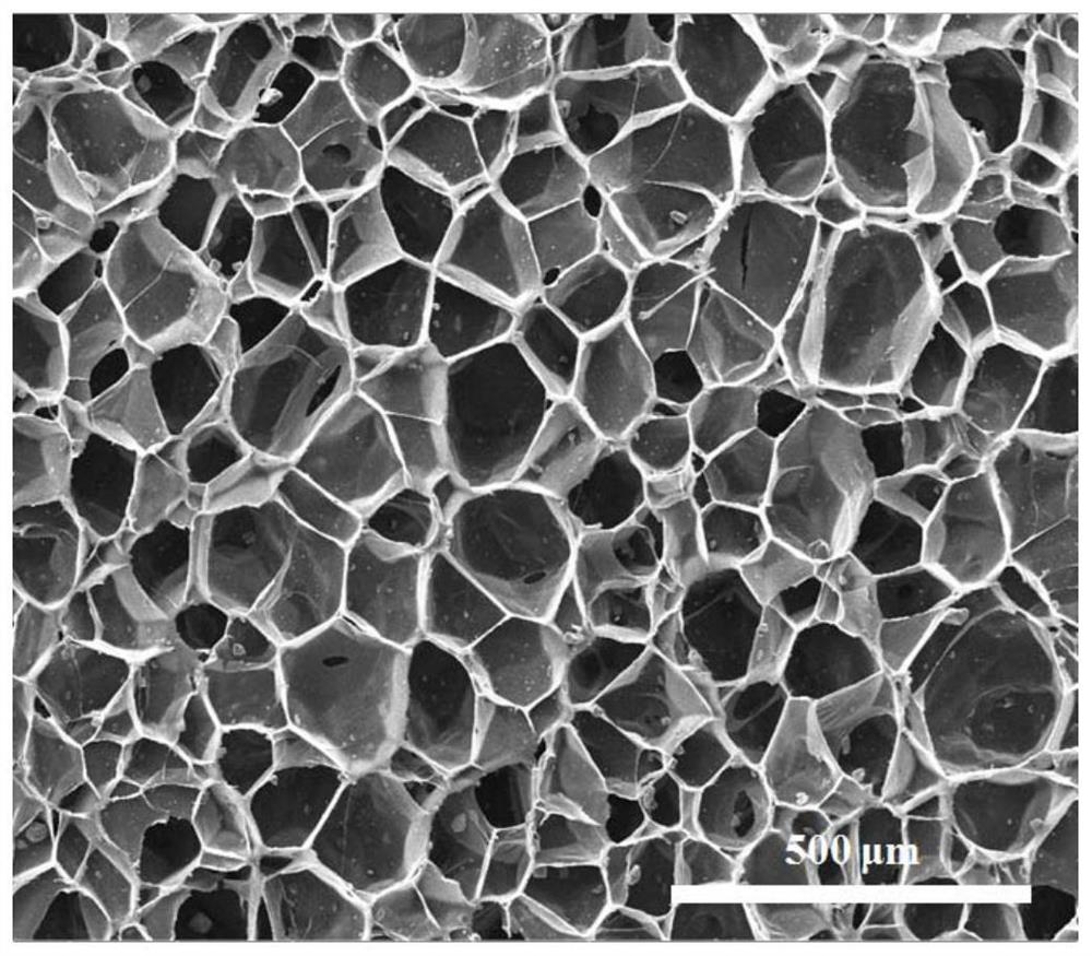 Method for preparing closed-cell structure rubber foam material by molding physical foaming