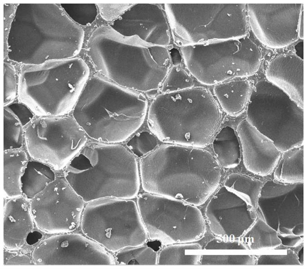 Method for preparing closed-cell structure rubber foam material by molding physical foaming