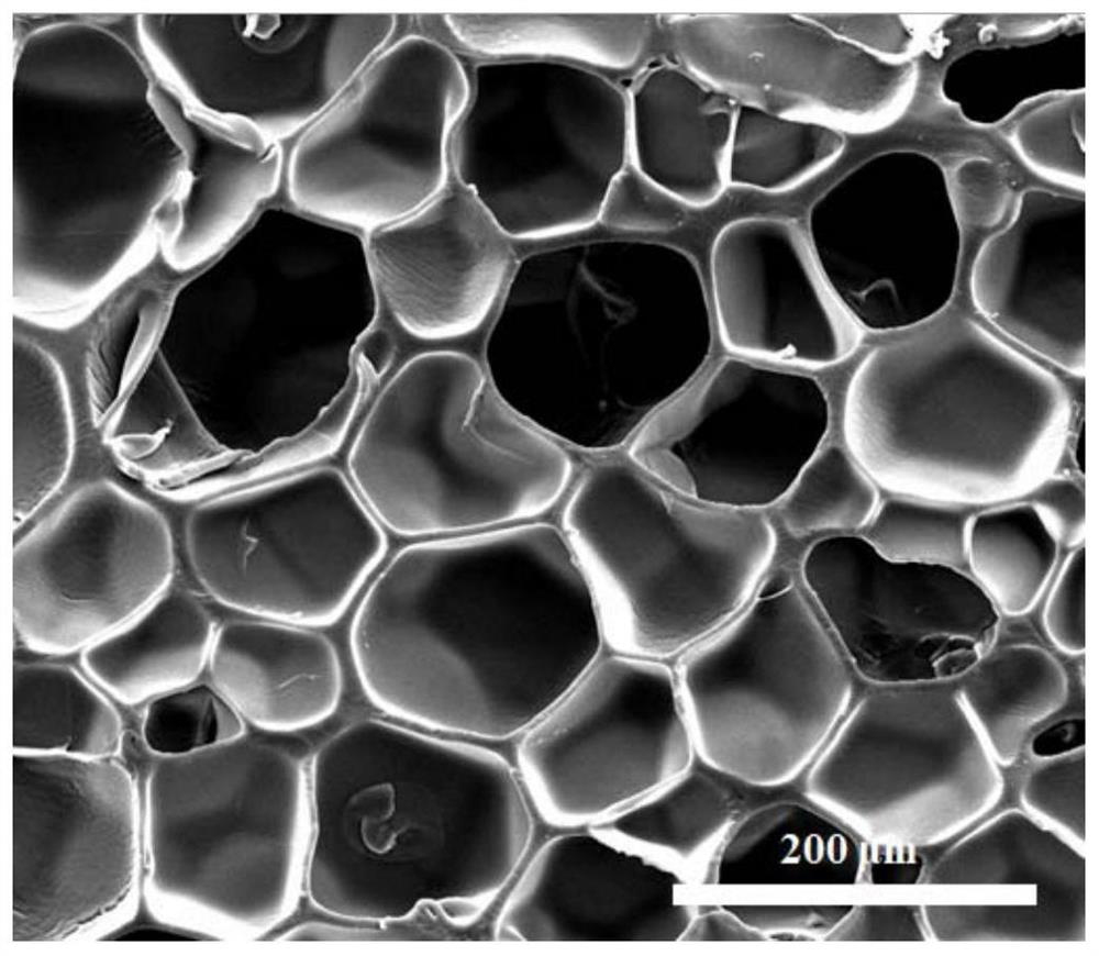 Method for preparing closed-cell structure rubber foam material by molding physical foaming