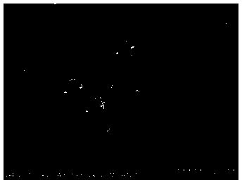 Preparation method of hollow titanium dioxide microspheres