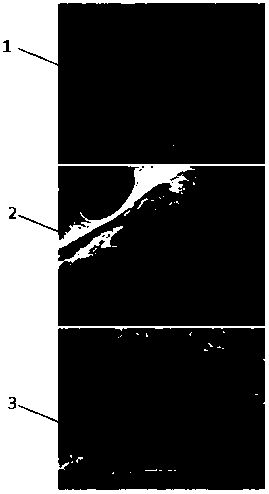 Cartilage tissue engineering bracket and preparation method thereof