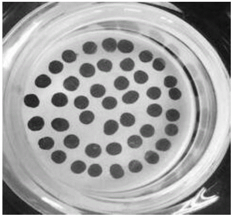 Preparation method of SERS (surface enhanced Raman spectrum) substrate and sample