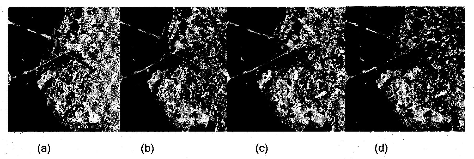 Semi-supervised hyperspectral remote sensing image classification method based on information entropies