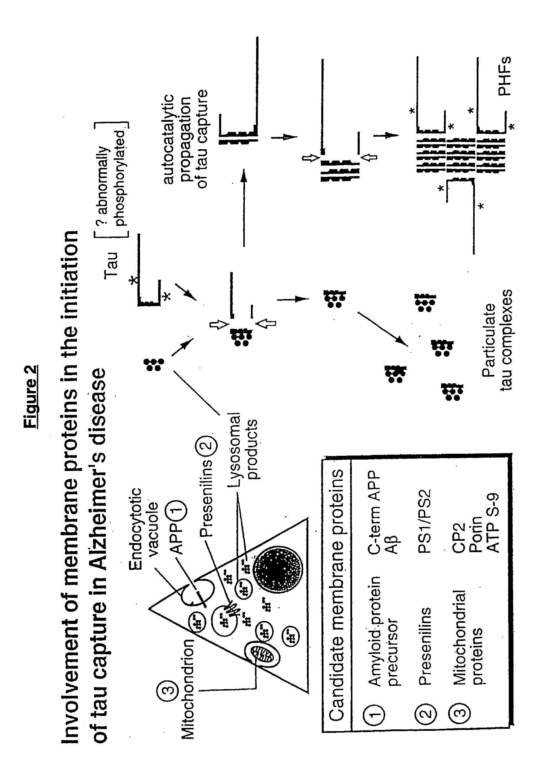 Materials and methods relating to protein aggregation in neurodegenerative disease