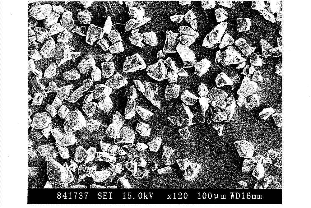 Oral liquid sustained-release preparation containing codeine and chlorphenamine and preparation method thereof