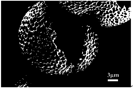 Preparation method of rhenium disulfide photoelectric material supported and grown on pollen carbon skeleton