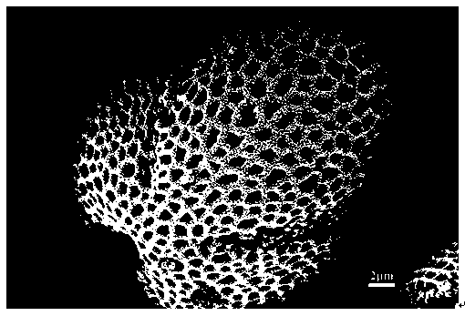 Preparation method of rhenium disulfide photoelectric material supported and grown on pollen carbon skeleton