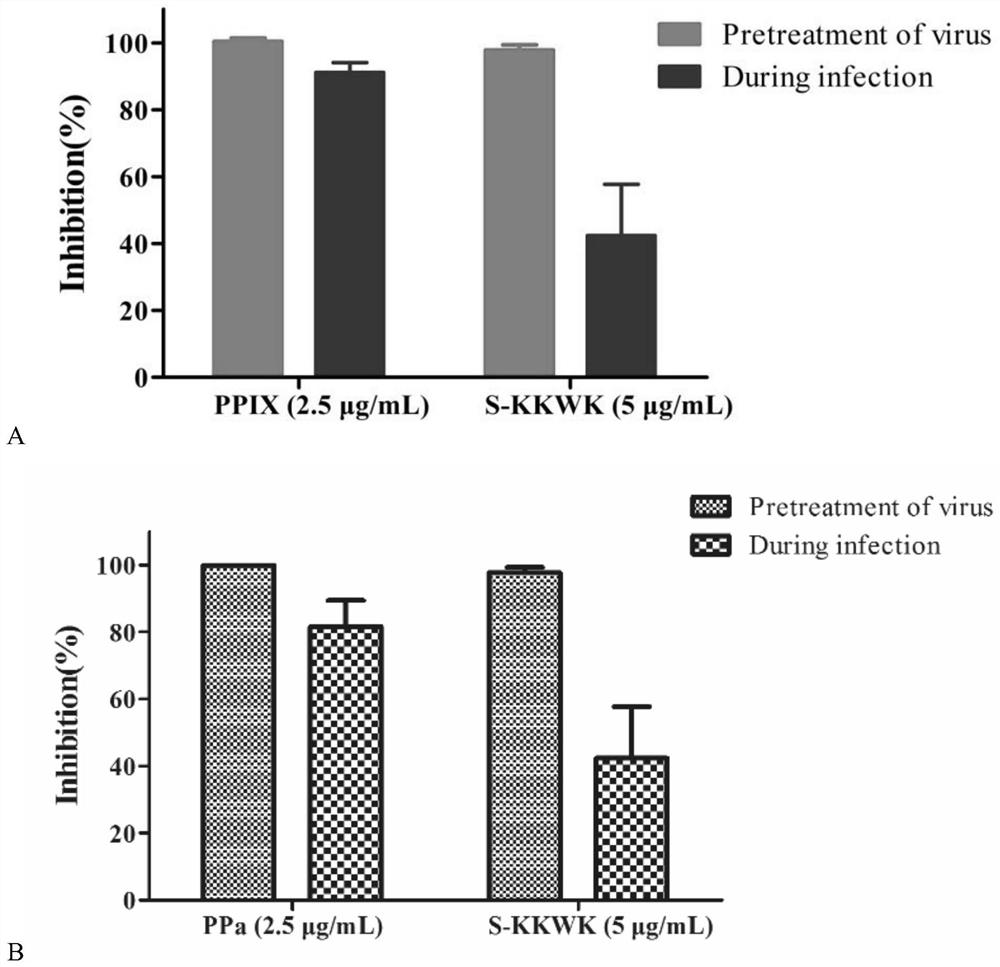 Application of Protoporphyrin Derivatives in Preparation of Enveloped Virus Blocking Agent