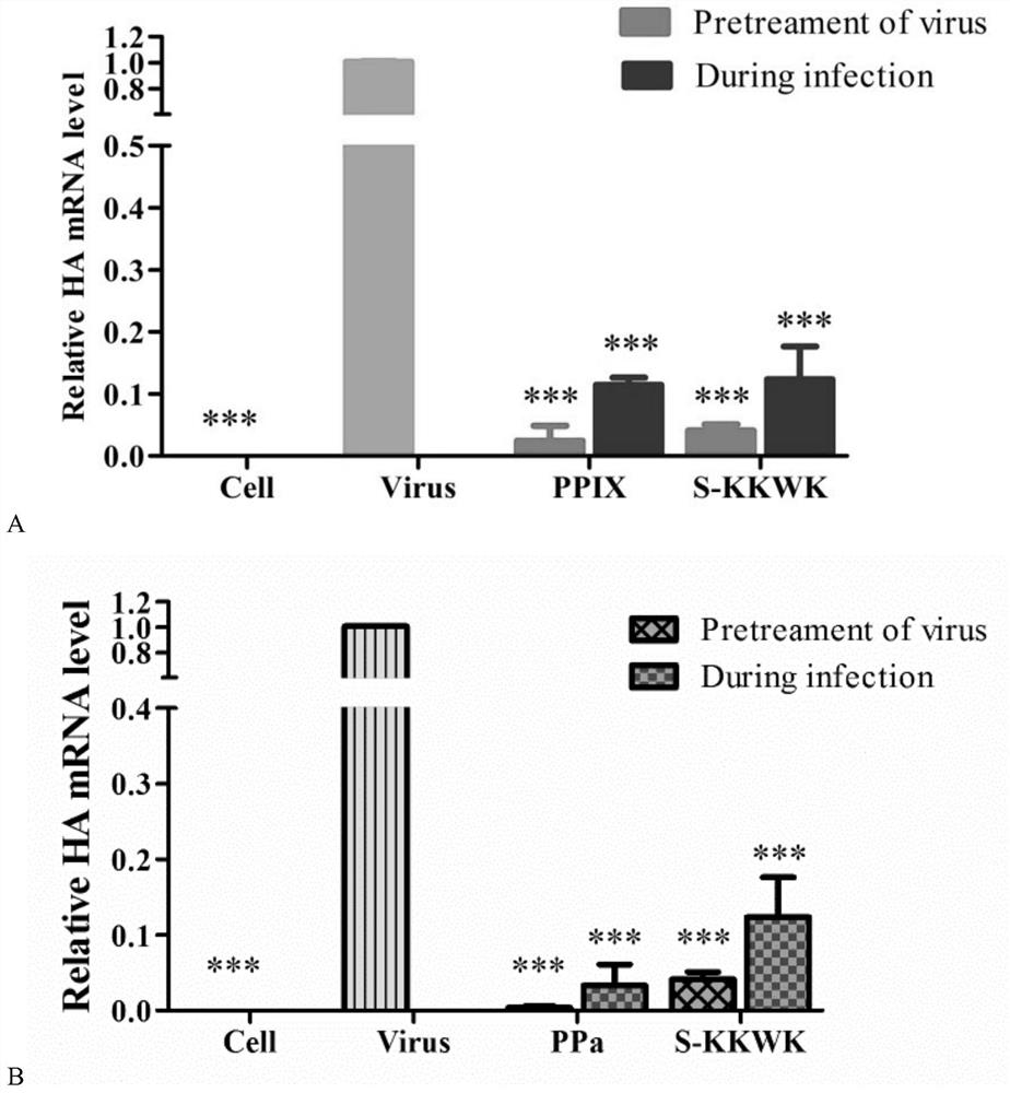 Application of Protoporphyrin Derivatives in Preparation of Enveloped Virus Blocking Agent