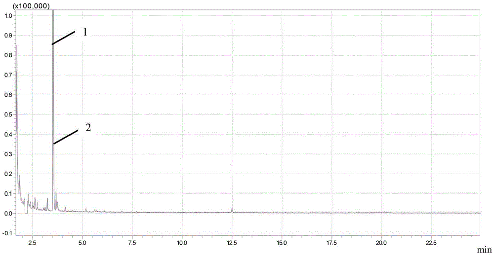 Construction method of GC-MS (Gas Chromatography-Mass Spectrometer) fingerprint chromatogram of Wu Nu Mountain ice wine