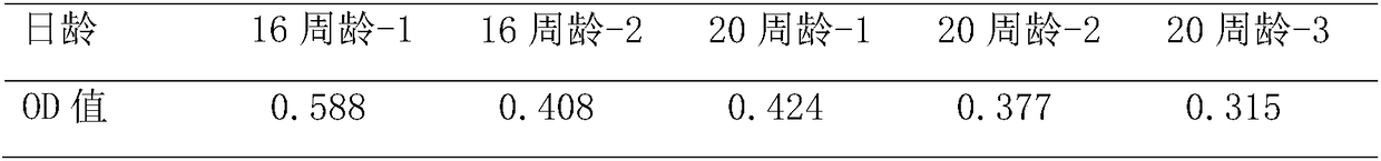 A kind of avian leukosis virus j subgroup specific antigen polypeptide and application thereof