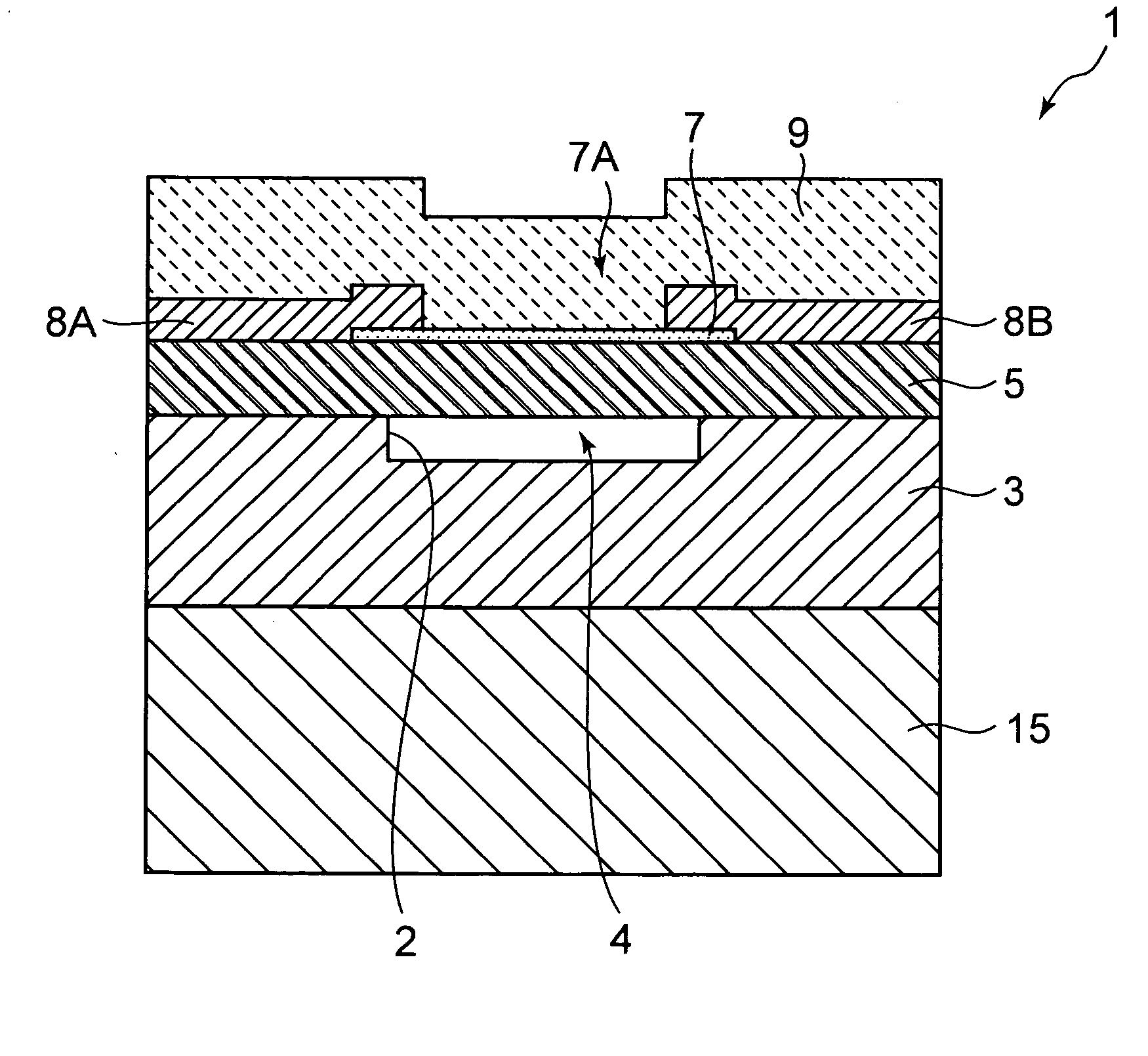 Thermal head and printer