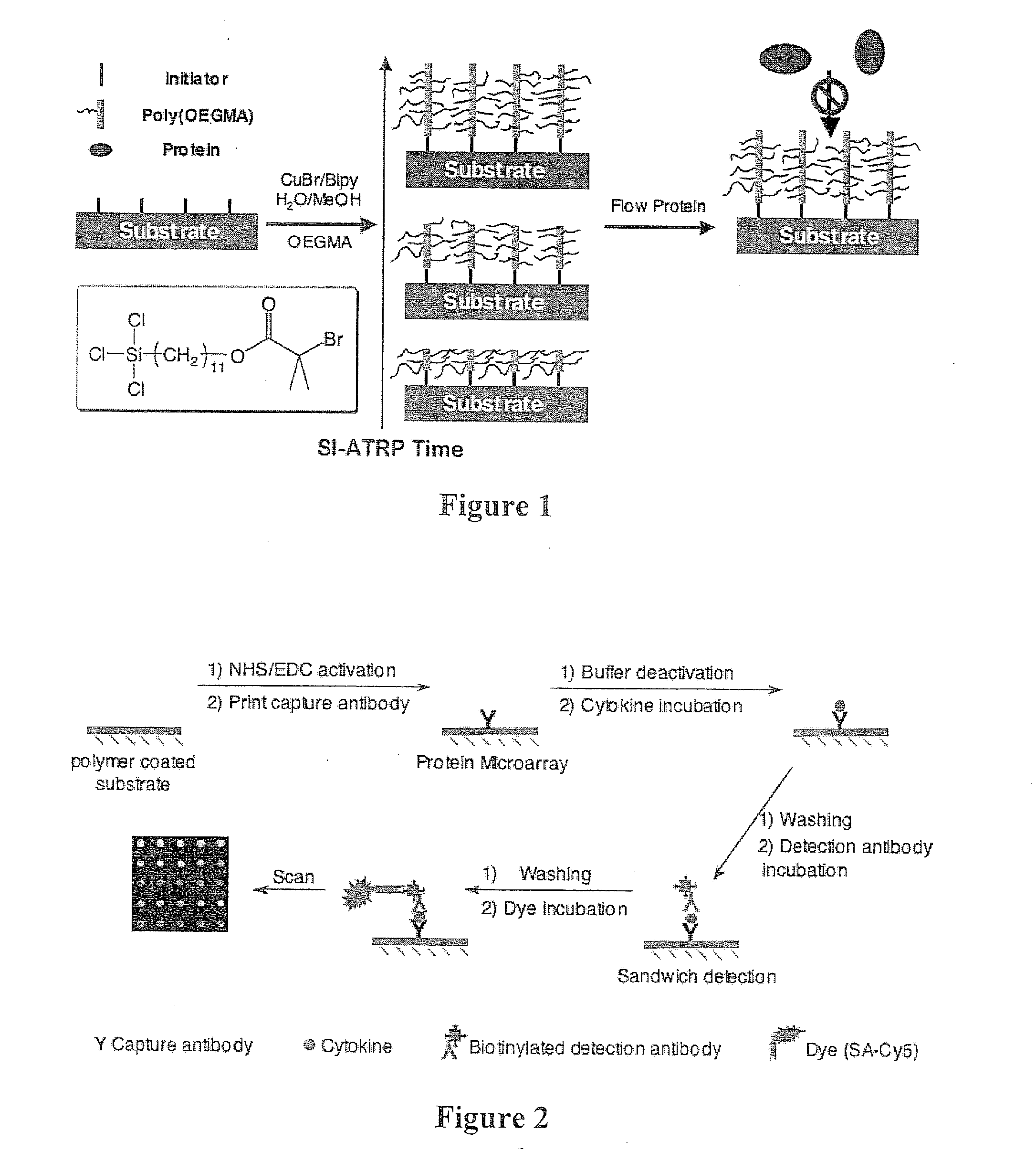 Non-fouling polymeric surface modification and signal amplification method for biomolecular detection