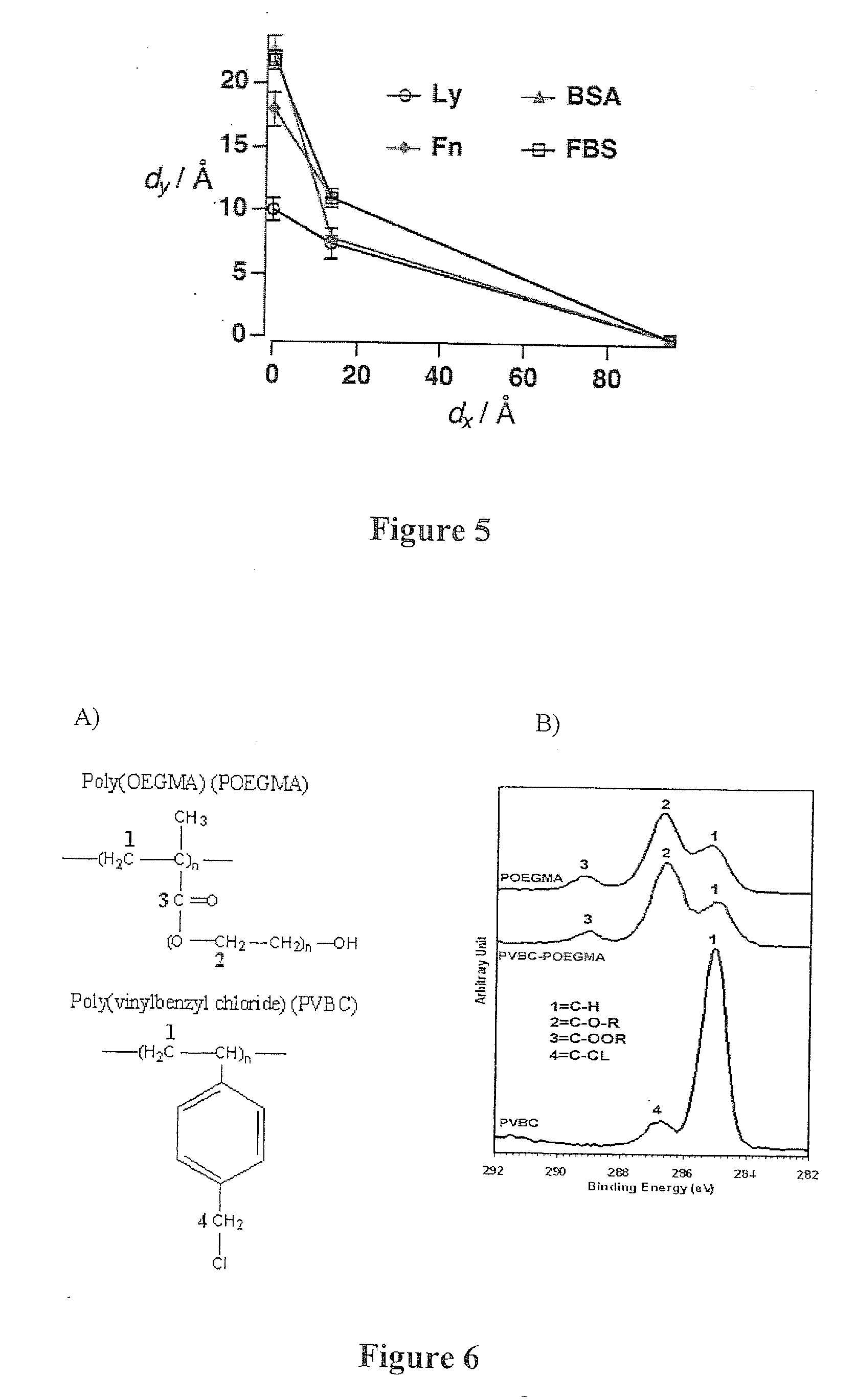 Non-fouling polymeric surface modification and signal amplification method for biomolecular detection