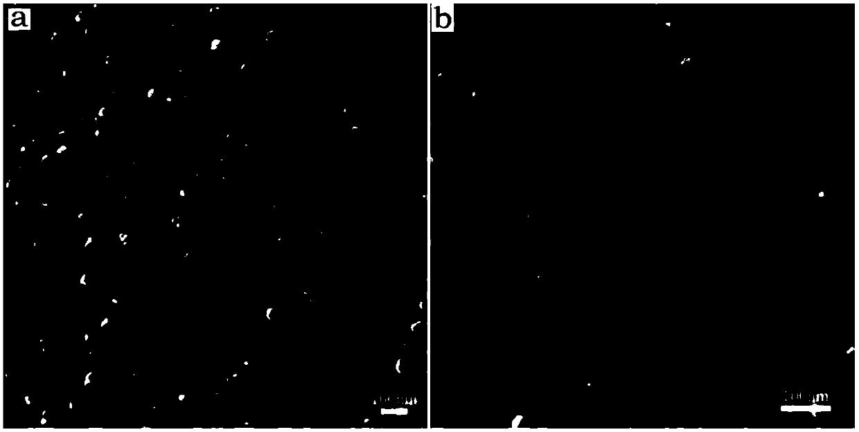 Preparation method and application of molecular sieve catalyst