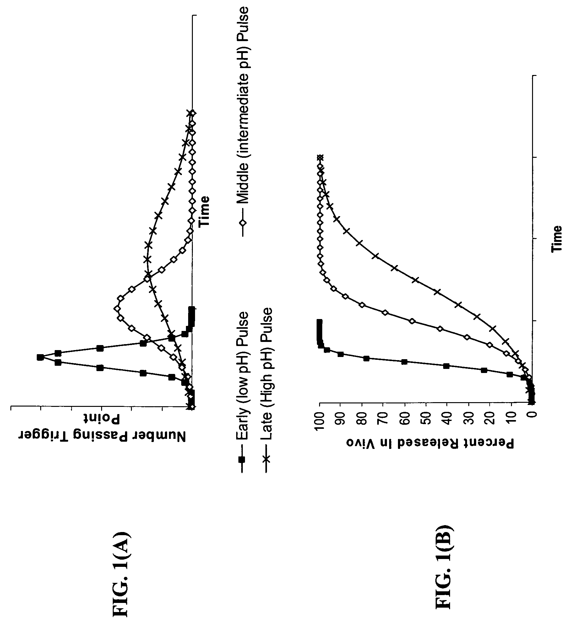 Gastric release pulse system for drug delivery