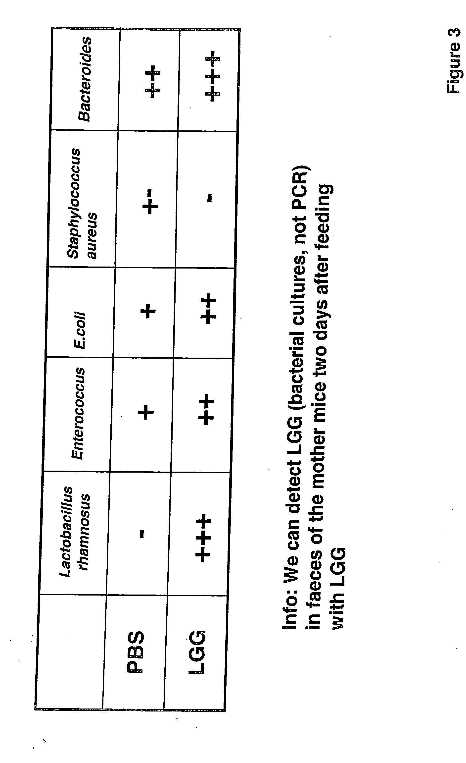 Method for preventing or treating the development of respiratory allergies