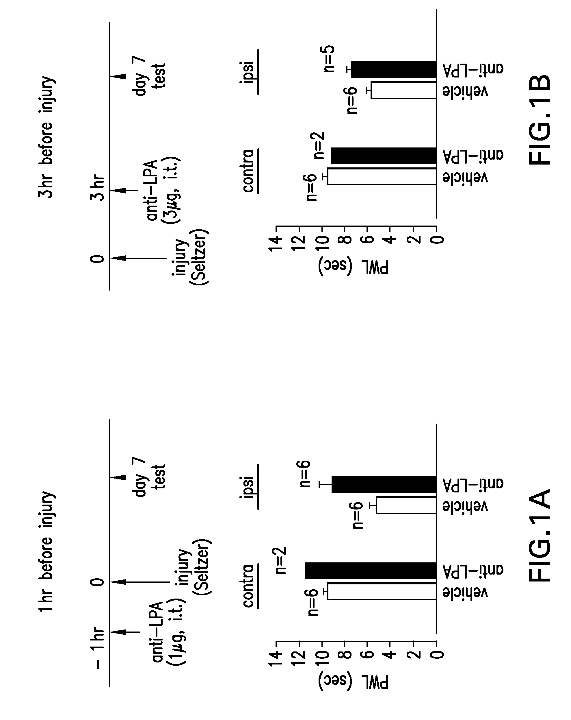 Prevention and treatment of pain using antibodies to lysophosphatidic acid