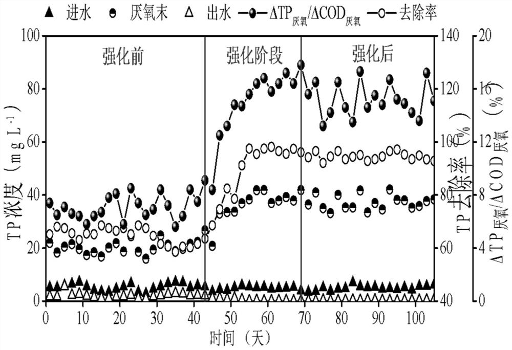 Method for strengthening biological phosphorus removal of municipal sewage A/O process through internal reflux of sludge