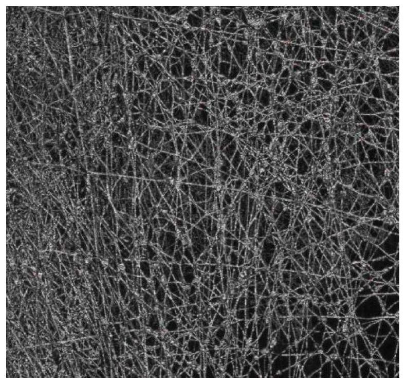 Preparation method of real-time vulcanized elastomer fiber membrane