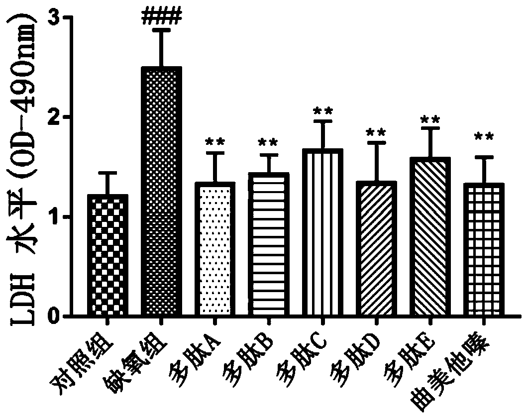 Anti-myocardial ischemia hypoxia polypeptide, composition and application thereof, and polypeptide drug