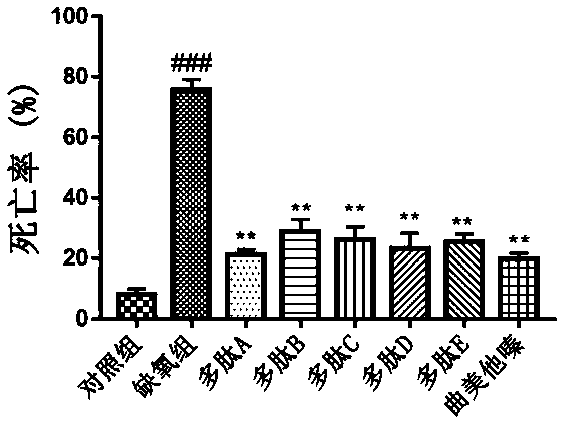 Anti-myocardial ischemia hypoxia polypeptide, composition and application thereof, and polypeptide drug