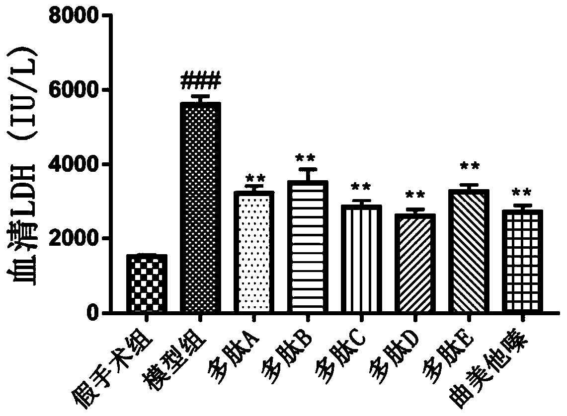 Anti-myocardial ischemia hypoxia polypeptide, composition and application thereof, and polypeptide drug