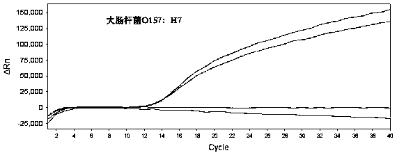 Method for detecting fluorescent quantitative PCR of 12 pathogenic bacteria in real time at the same time