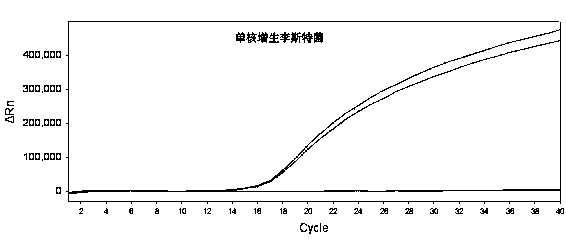 Method for detecting fluorescent quantitative PCR of 12 pathogenic bacteria in real time at the same time