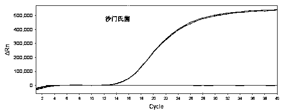 Method for detecting fluorescent quantitative PCR of 12 pathogenic bacteria in real time at the same time