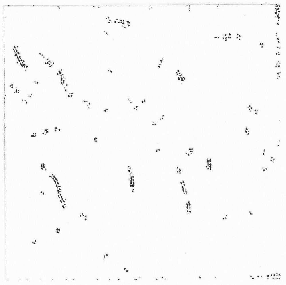 A method for detecting multiple scratches on metal surfaces containing screws