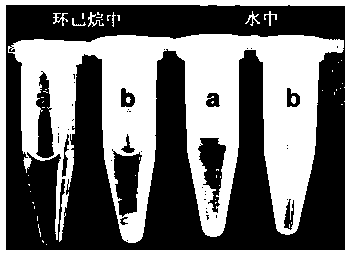 Preparation method of water-soluble rare earth up-converting luminescence nano particle modified by amino acid