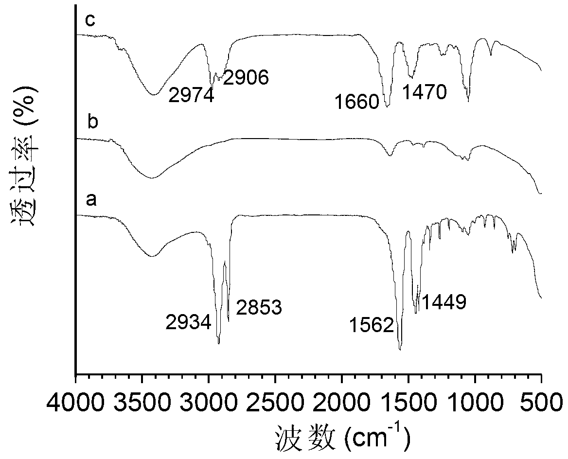 Preparation method of water-soluble rare earth up-converting luminescence nano particle modified by amino acid