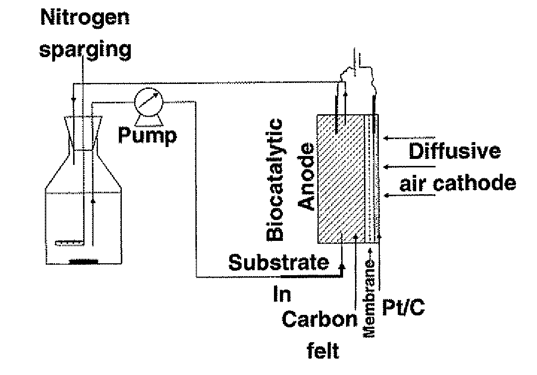 Microbial fuel cell with improved anode