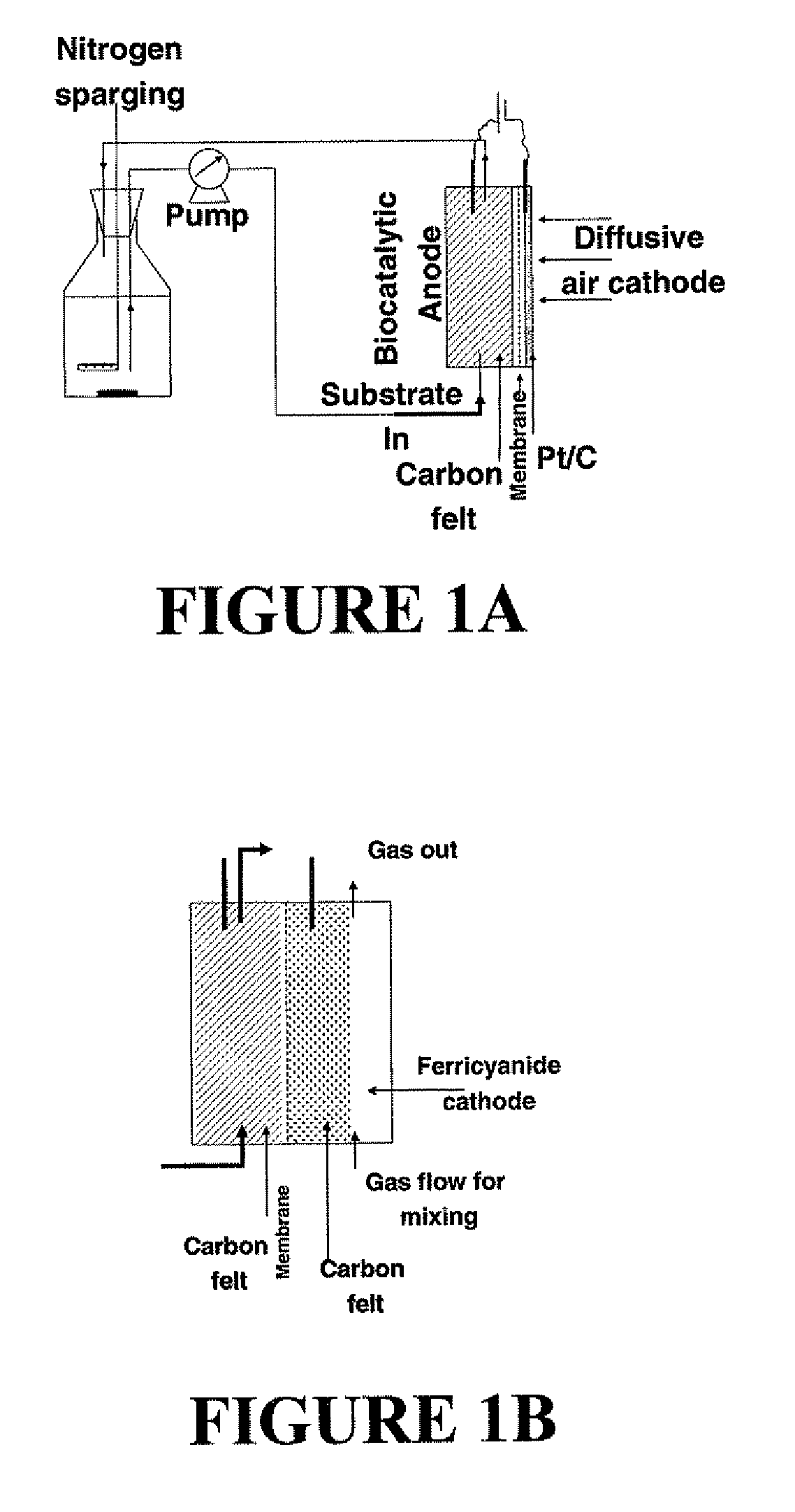 Microbial fuel cell with improved anode