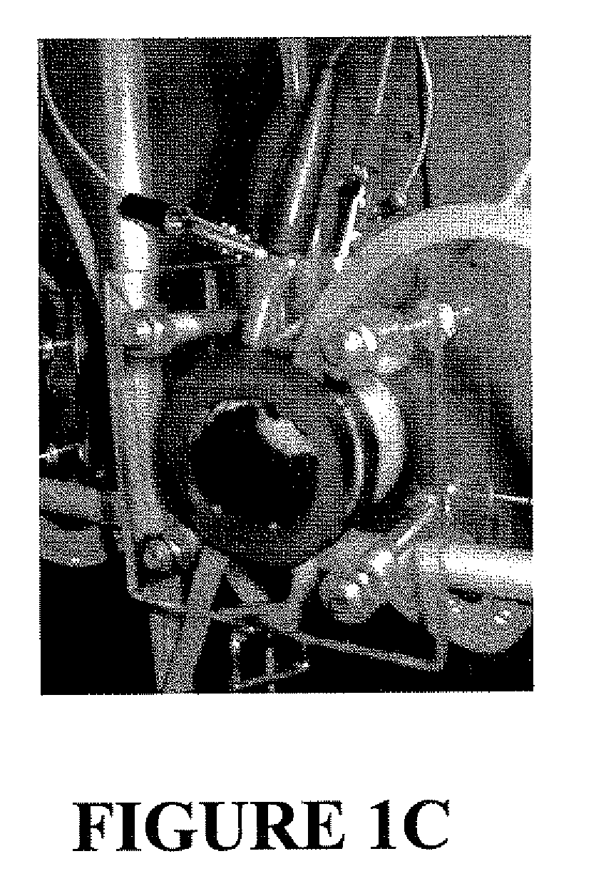 Microbial fuel cell with improved anode