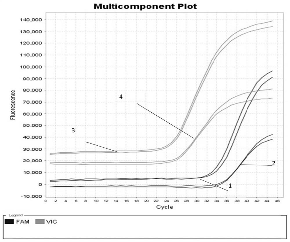 Method for co-extracting DNA and RNA of different samples