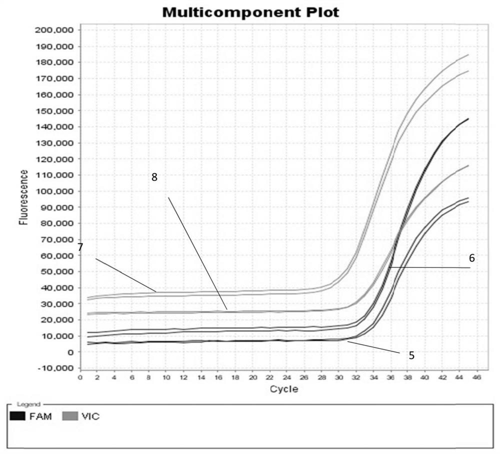 Method for co-extracting DNA and RNA of different samples