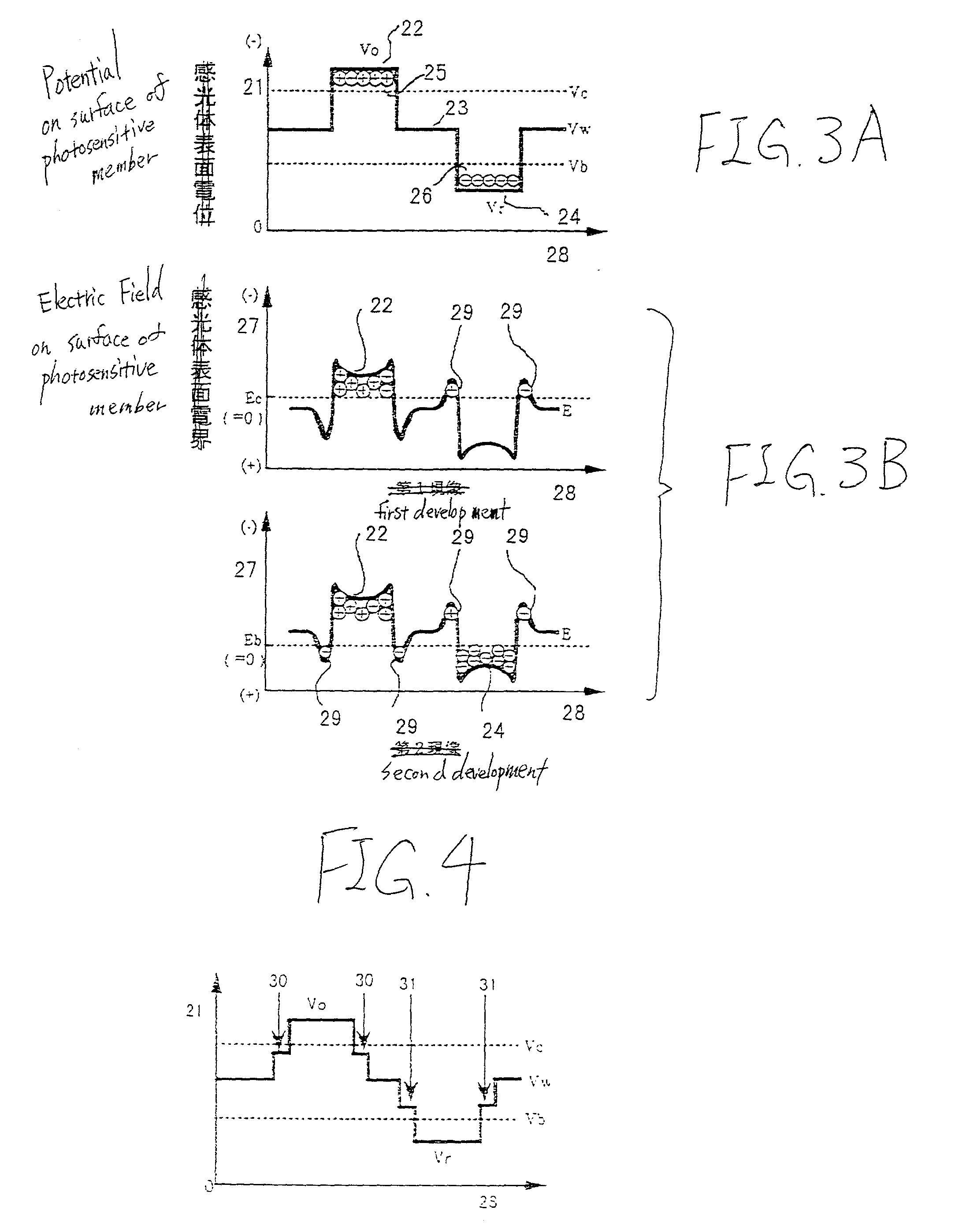 Electrophotographic apparatus