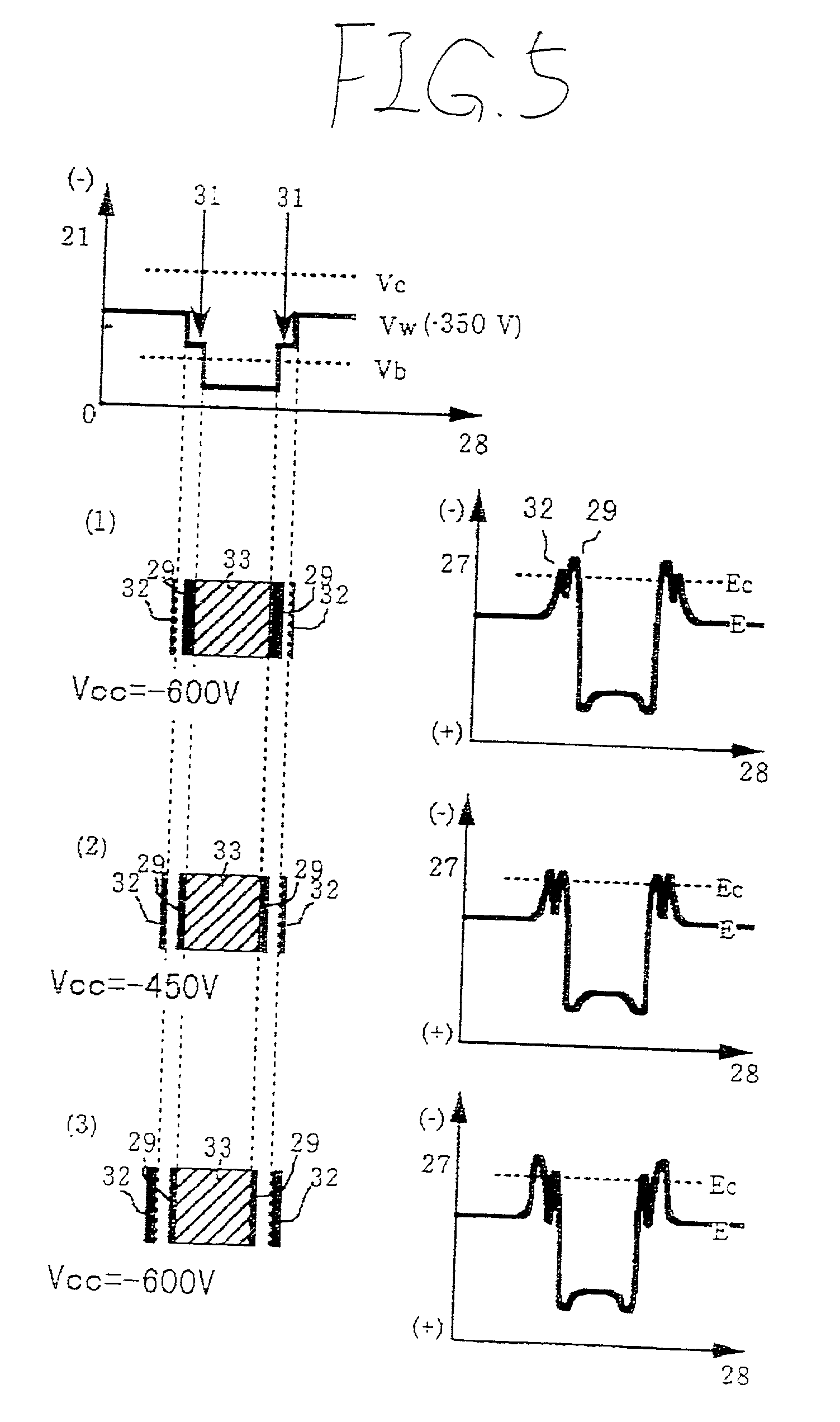 Electrophotographic apparatus