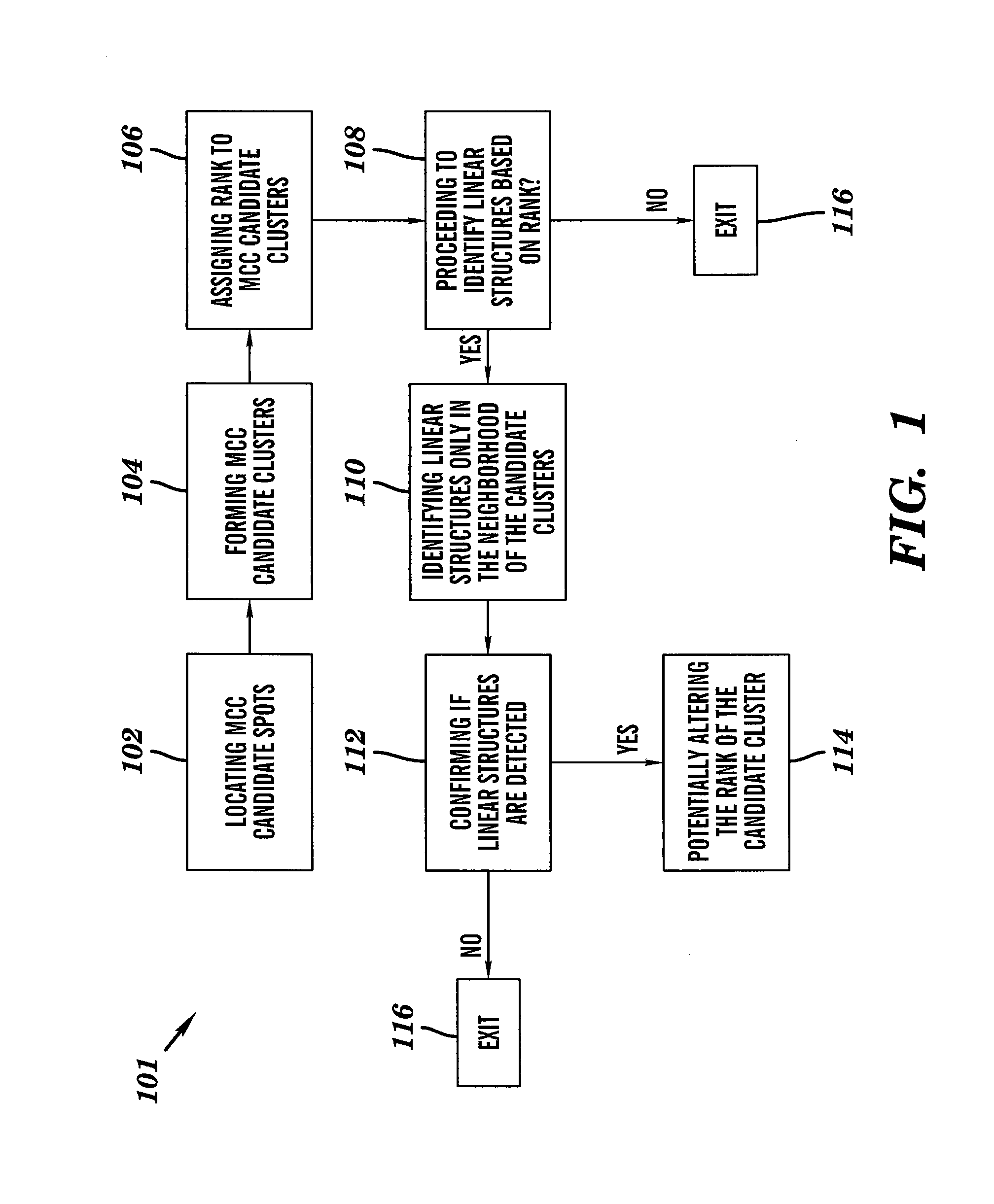 Line structure detection and analysis for mammography cad