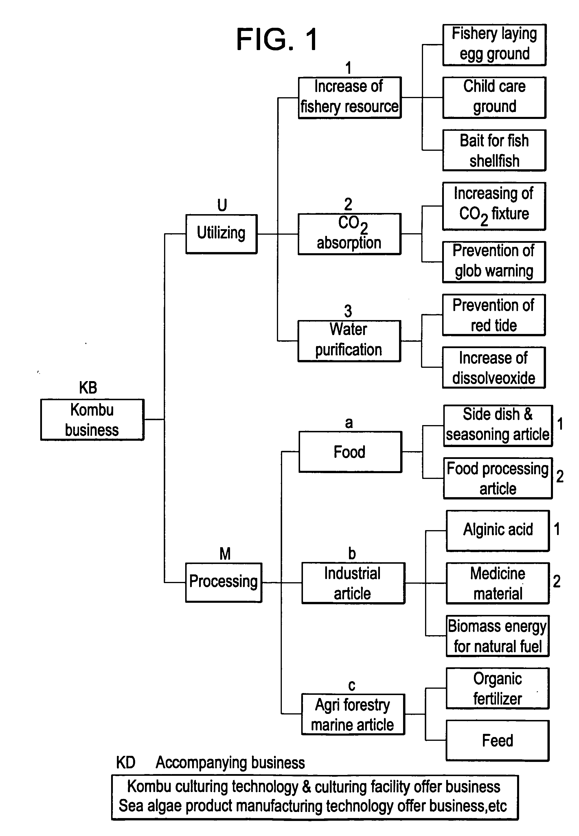 Method and apparatus for the cultured sea algae