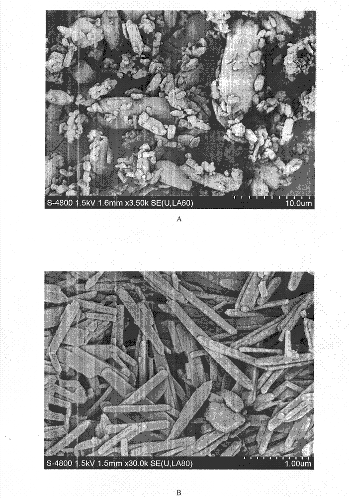 Revaprazan hydrochloride nanosuspension and preparation method thereof