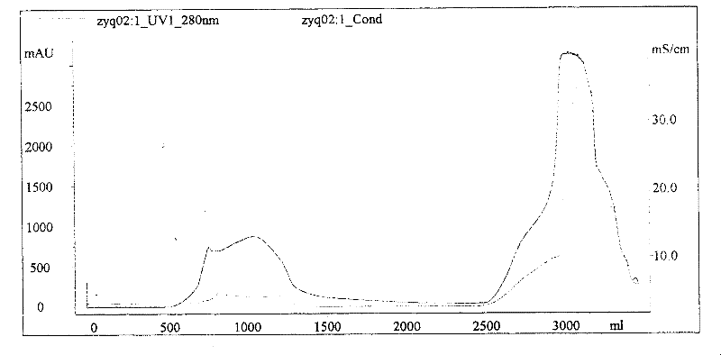 Fine purification method of polyvalent anti-snake venom freeze-dry blood serum