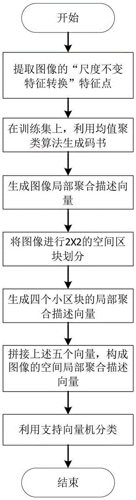 Image Classification Method Based on Spatial Local Aggregation of Description Vectors