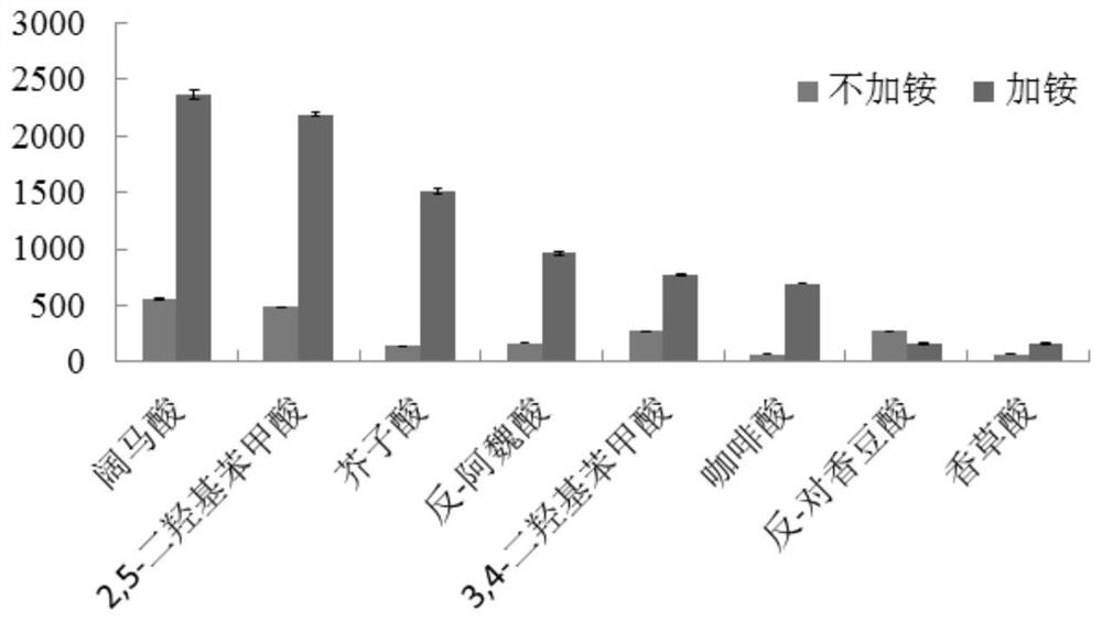 A method for separating or analyzing phenolic compounds from burdock