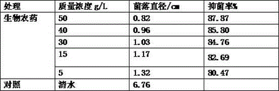 Biopesticide for controlling tomato powdery mildew and preparation method of biopesticide