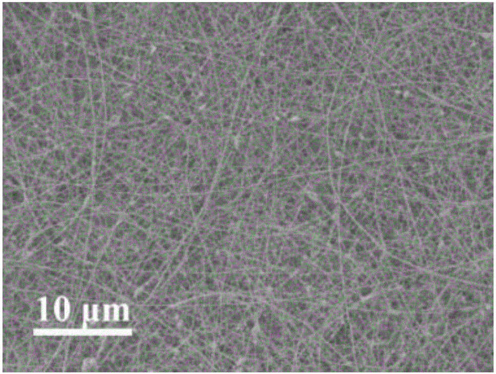 Chitosan nanofiber composite film for adsorbing and separating heavy metal ions and preparation method and application thereof