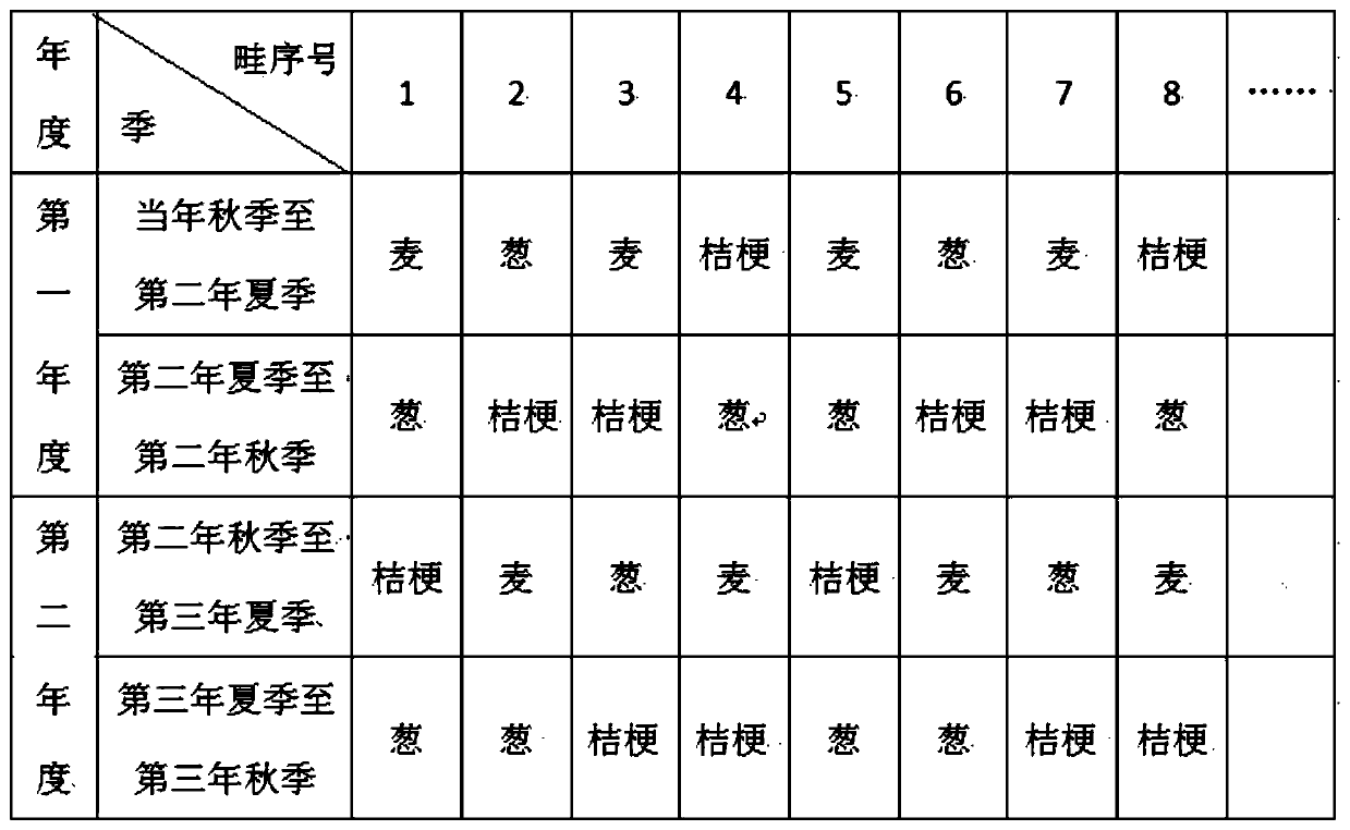 Intercropping method of wheat, spring onion and Platycodon grandiflorum for disaster prevention and mitigation